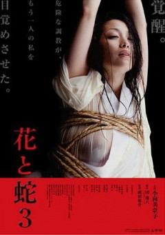 蘇家有女蘇杳txt