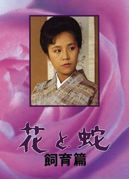 永恒的光輝讀后感