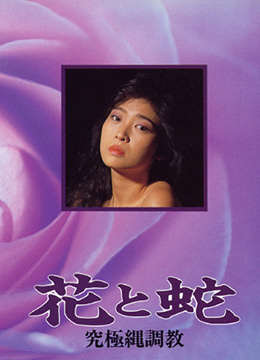單身騎士